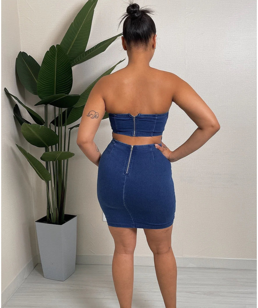 The Little Denim Dress